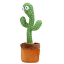 Dansende Cactus Speelgoed