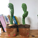 Dansende Cactus Speelgoed