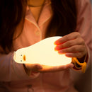 Oplaadbare Kwaklamp