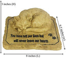 3D Kat Gedenksteen