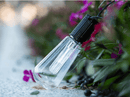Outdoor String Light