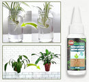 Plant food solution 