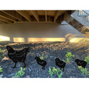Chicken Set - 4-Piece Decoration Set for Indoor &amp; Outdoor Use!