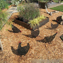 Chicken Set - 4-Piece Decoration Set for Indoor &amp; Outdoor Use!