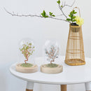 Feng Shui Crystal Tree