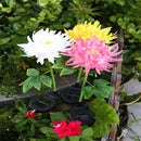 Krysantemum LED Solcellelampe