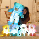 Leddy the teddy