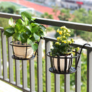 Iron Art Hanging Basket