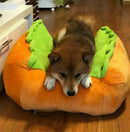 Funny Hot Dog Bed