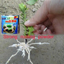 Fast Growth Rooting Powder 