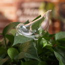 Zelf-drenkende Plantenbol