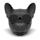 French Bulldog Speaker 