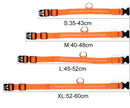 LED Halsband