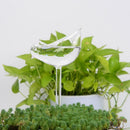 Zelf-drenkende Plantenbol