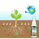Plant food solution 