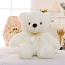 Leddy the teddy