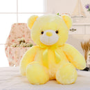 Leddy the teddy