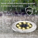 LED Solar Path Lighting