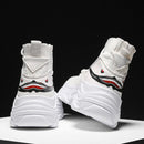 DB Shark Sneakers