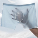 Ice Silk Underwear