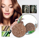 Organic Hair Darkening Shampoo | Buy 1 Get 1 Free 