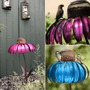 Coneflower Vogel Voederhuisje