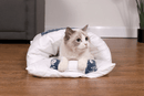 Kattenslaapzak