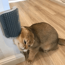 Cat Corner Groomer