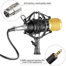 BM800 Microphone Condenser Set