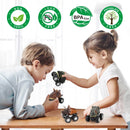Pull Back Dinosaur Mini Car (6pcs)