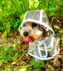 Dog Waterproof Transparent Raincoat 
