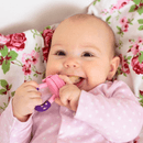 Baby Food Pacifier