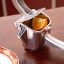 Portable Fruit Juice Machine