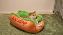 Funny Hot Dog Bed