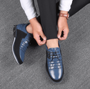 Belleza - Hybrid Leather Shoes