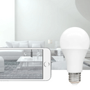 Emergency LED lamp