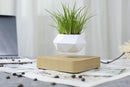 Lifting Bonsai Pot 