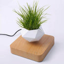 Lifting Bonsai Pot 