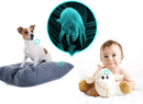 Natural Dust Mite &amp; Bed Bug Killer (Pack of 6)