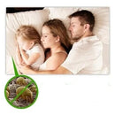 Natural Dust Mite &amp; Bed Bug Killer (Pack of 6)