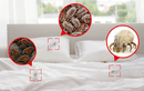 Natural Dust Mite &amp; Bed Bug Killer (Pack of 6)