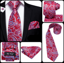 Hi-Tie | Silk Paisley Tie Set