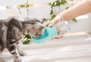 Outdoor Pet Water Bottle