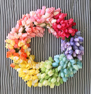 Tulp Lente Krans