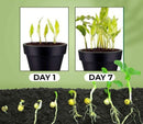 Fast Growth Rooting Powder 