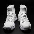 DB Shark Sneakers