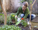 Plant food solution 